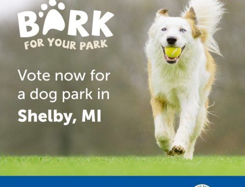 Shelby Township Bark Park