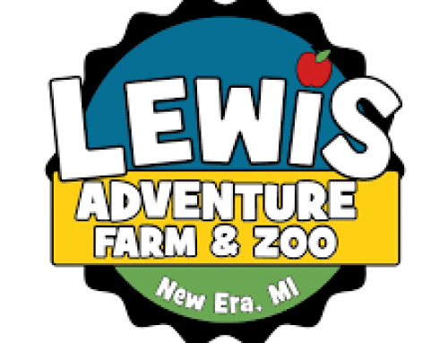 Splash Into Spring with a New Attraction at Lewis Farms