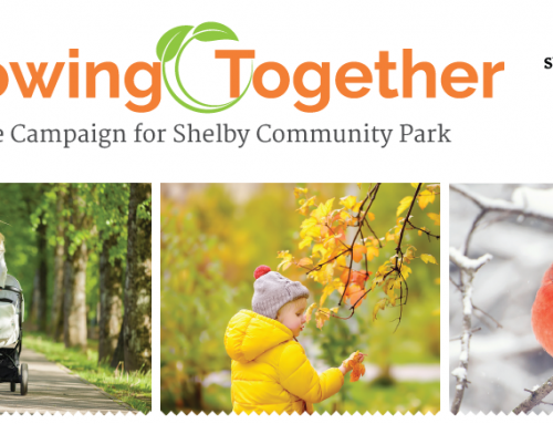 Growing Together – The Campaign to Reforest Shelby Community Park